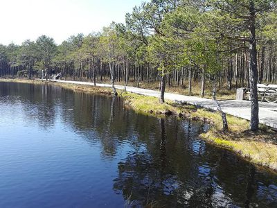 Начались ремонтные работы на деревянной дорожке у озера Кукуйже (видео) - В Висагинасе