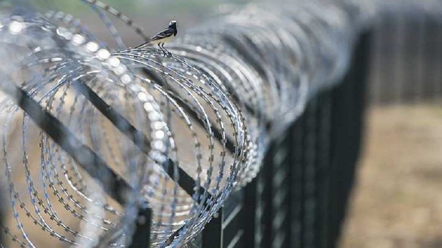 Литва от России и Беларуси огораживается забором. - Литва и страны Балтии