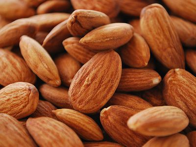 Миндаль записали в «ценные диетические продукты» - Наука и здоровье
