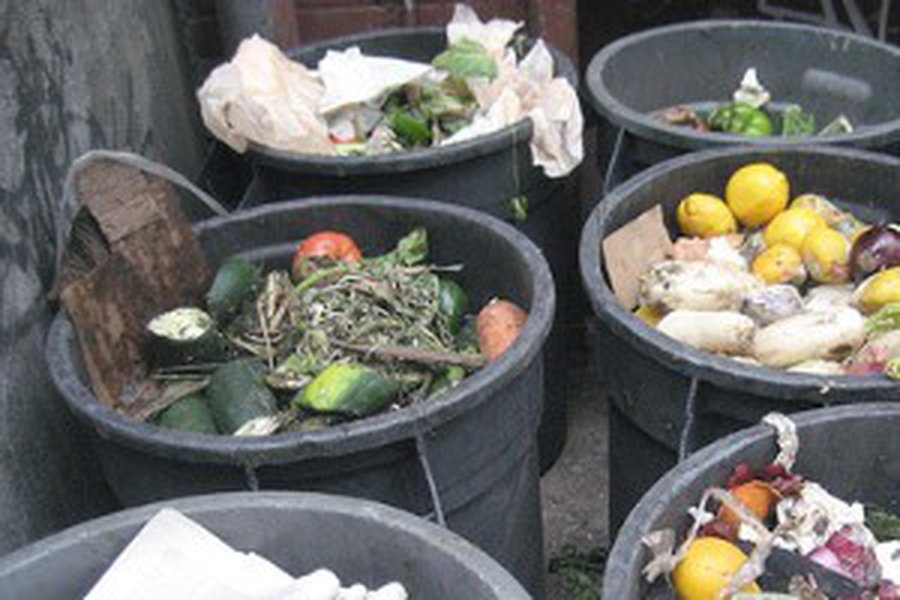 Литва выбрасывает еду тоннами                                                                                           - Литва и страны Балтии