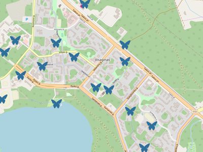 Описание проекта «Найди бабочку в Висагинасе» - В Висагинасе