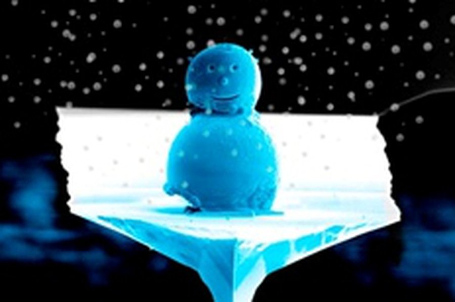 Список дурацких открытий возглавил наноснеговик - Наука и здоровье