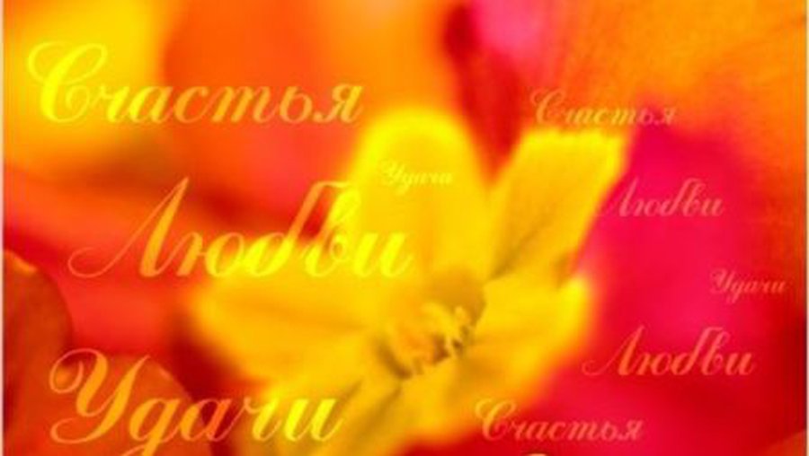 Подведены итоги творческого конкурса - Новости TTS