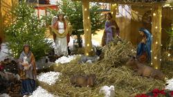 С Рождеством Христовым! Tegul Kalėdos būna kupinos meilės, ramybės ir tikro džiaugsmo. (видео)