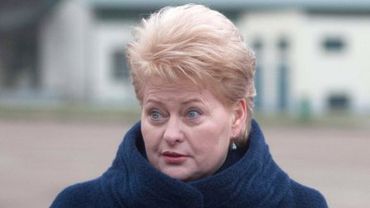 Президент Литвы: я не получала списка министров, который могла бы одобрить

