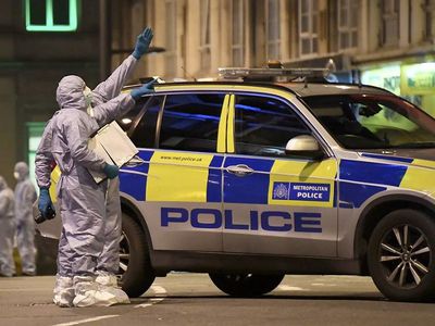 В Скотленд-Ярде раскрыли подробности теракта на юге Лондона - В Мире