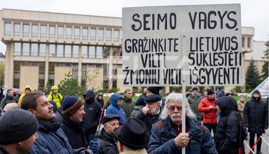 Митингующие у Сейма требуют не принимать поправки к налогу на недвижимость - Литва и страны Балтии