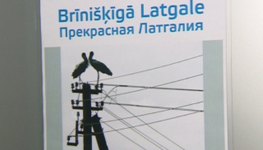Латвийская партия ЗаРЯ: Автономии Латгалии быть! - Литва и страны Балтии