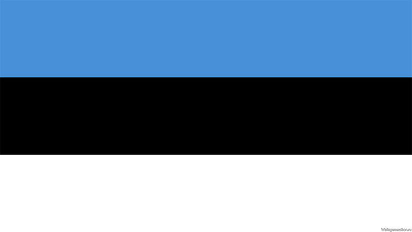 Банк Эстонии: нового витка кризиса не будет 