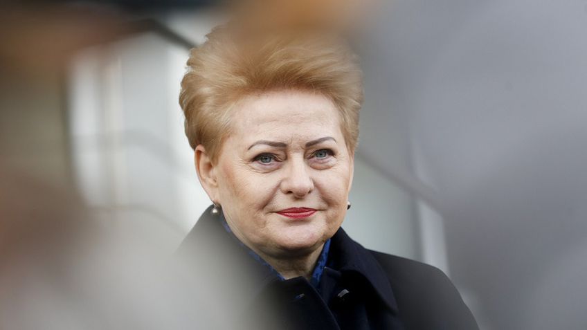 D. Grybauskaitė įvertino batalijas Seime: jų pareiga yra rasti sprendimus ir dirbti savo darbą