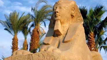 В Египет можно будет возобновить путешествия в начале марта