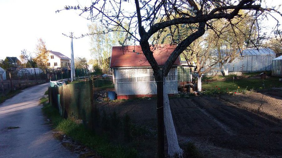 Председатель с/о «Pavasaris» Алексей Прохоров: «Мы добивались этого маршрута полтора года» - В Висагинасе