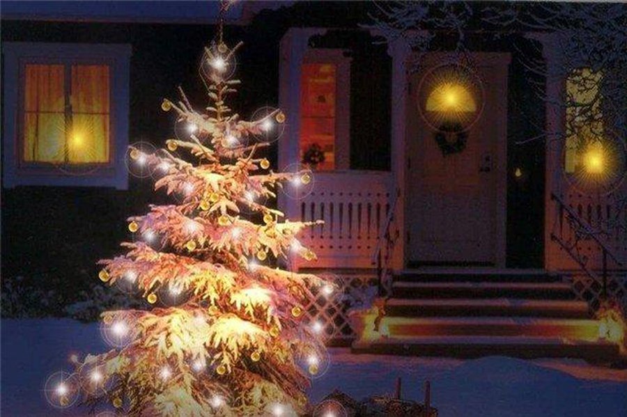 Основатели США сами не праздновали Рождество и не разрешали праздновать его другим - Хобби, отдых и развлечения