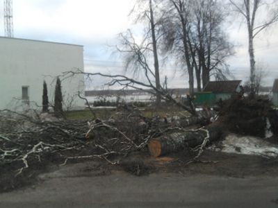 Vėjas kelininkams pridarė dešimtis tūkstančių litų nuostolių                 - Lietuva ir Baltijos šalys