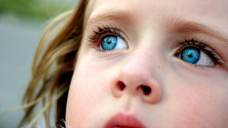 На глазах у несовершеннолетних нельзя проводить обыск - Литва и страны Балтии