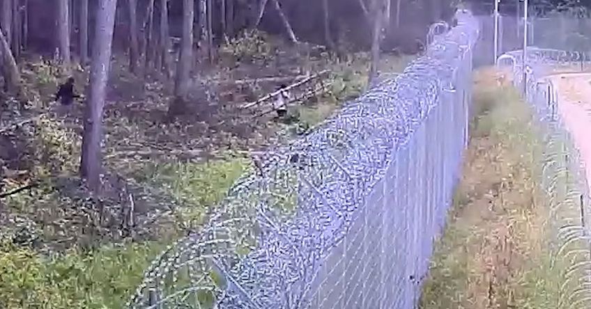 Агрессивные нелегалы забросали пограничников камнями