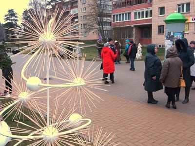 На улице Висагино в одночасье выросла целая аллея елочек (видео) - В Висагинасе