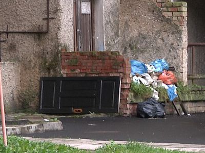 Вывоз мусора: что предлагает рабочая группа - В Висагинасе