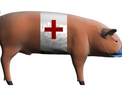 Четверо жителей Польши и две китаянки стали жертвами свиного гриппа - Наука и здоровье