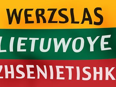 Названия предприятий смогут быть с латинскими буквами на иностранных языках - Литва и страны Балтии
