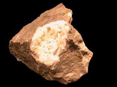 Президент уступила, правит мафия: Литва за неделю - Литва и страны Балтии