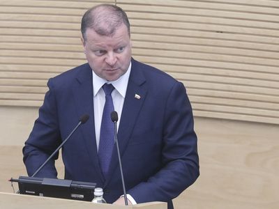 С.Сквернялис: без повышения доходов работающих мы будем обречены на бедность - Литва и страны Балтии