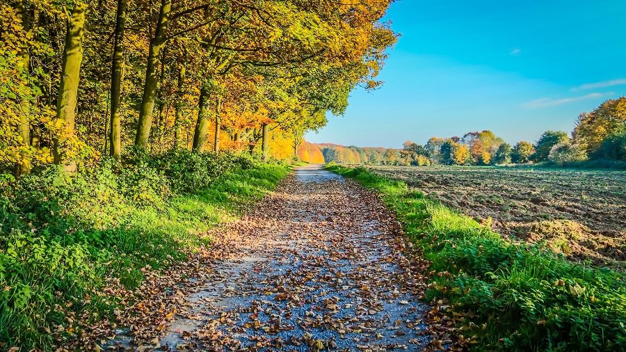 Погода в Литве: заморозки отступят, ожидается потепление - Литва и страны Балтии