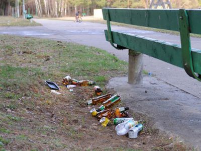 Горячая линия TTS: Куда исчезли урны? - В Висагинасе