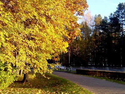 Фото дня: осенний Висагинас - В Висагинасе