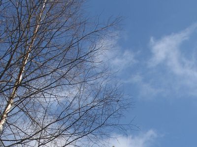 Последний месяц зимы закончится теплой погодой - Литва и страны Балтии