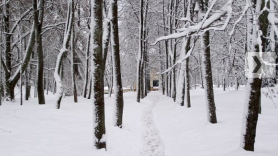 Погода на неделю: на смену морозу придет дождь
 

 - Литва и страны Балтии