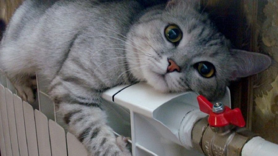 Когда включат отопление в жилых домах - В Висагинасе