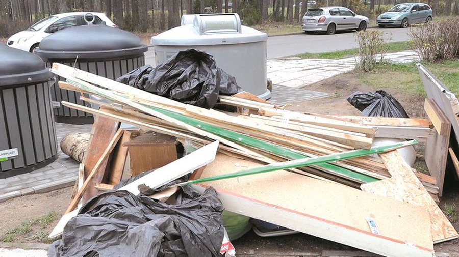 Будет ли оборудована площадка приема крупногабаритных отходов в черте города? - В Висагинасе