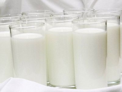 Согласованы разрешения для литовских производителей на экспорт молочных продуктов в Колумбию - Экономика и бизнес