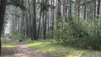 Сентябрь разыгрался не на шутку: воздух прогреется до 30 градусов