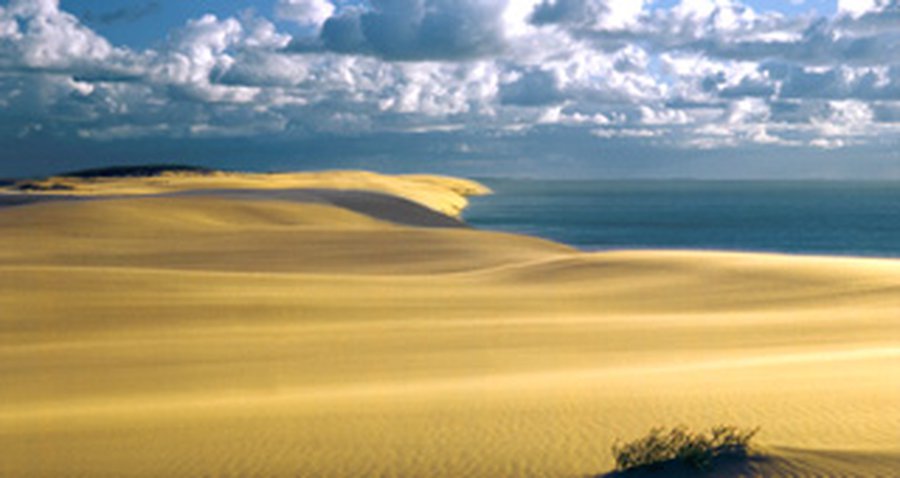 Куршская коса: ползучая катастрофа 

 - Литва и страны Балтии