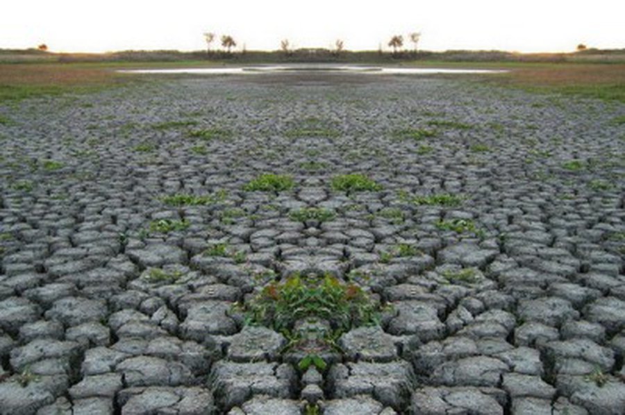 Džiūstanti Šveicarija šaukiasi lietaus                 - Pasaulyje