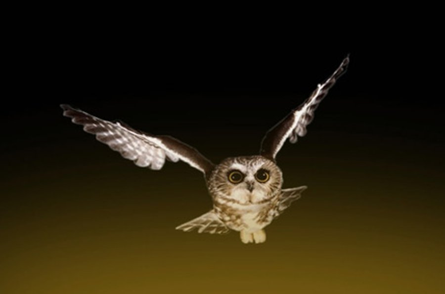 О науке играючи - В Висагинасе