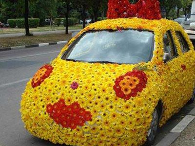 Самые женские автомобили
                 - Хобби, отдых и развлечения