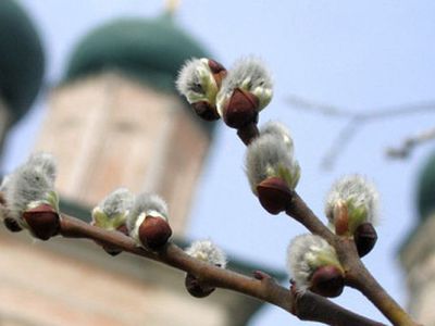 Расписание богослужений - В Висагинасе