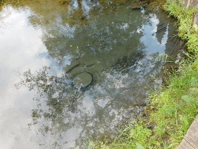 Температурные рекорды прошедших выходных - Литва и страны Балтии