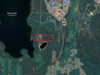 Государственное лесничество информирует о вырубке леса - В Висагинасе