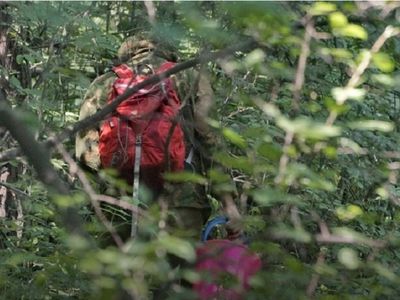 Памятка для любителей лесных даров - В Висагинасе