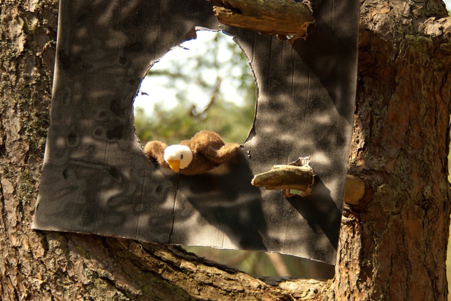 «Кукушкино Дупло» — отдыхаем активно! - В Висагинасе