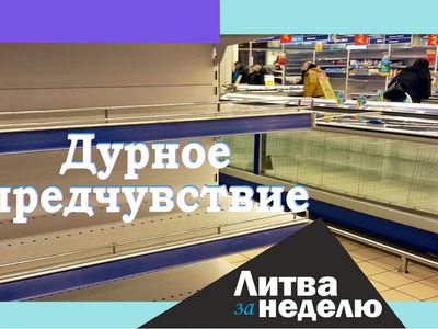 «Медвежья услуга» «Паспорта возможностей»: Литва за неделю (видео) - Литва и страны Балтии