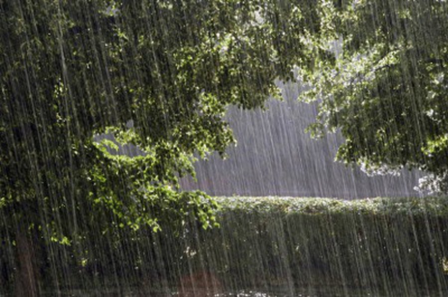 Sinoptikė žada šilumą ir lietų - Lietuva ir Baltijos šalys