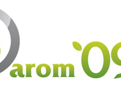 Завтра во всех странах Балтии проводится весенний субботник - В Висагинасе