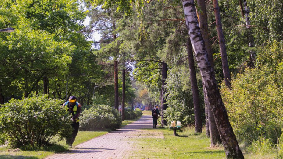Предварительный график кошения травы с 3 по 7 июня - В Висагинасе