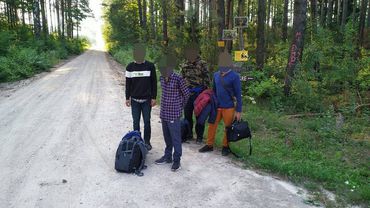 Литва удовлетворила 2 из 1 289 рассмотренных просьб нелегальных мигрантов об убежище - МВД