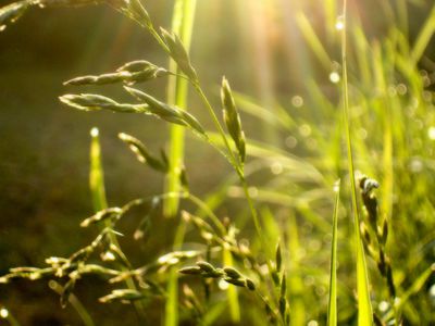 Прогноз: в Литву идет тепло - Литва и страны Балтии